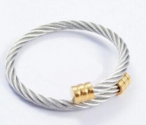 fashion  twist wire bangle ,stainlesss steel wire bangle